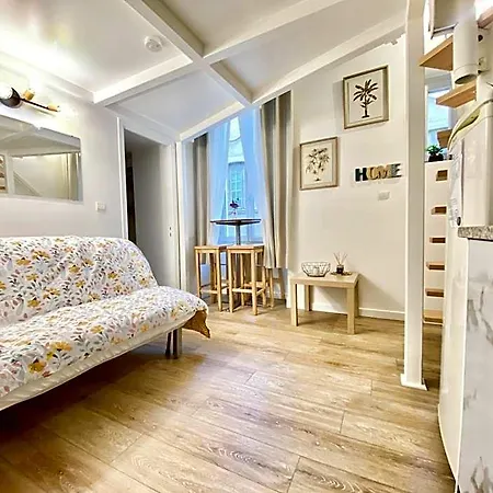 Duplex Cosy - Hyper Centre - Proche Et Promenade Nicea