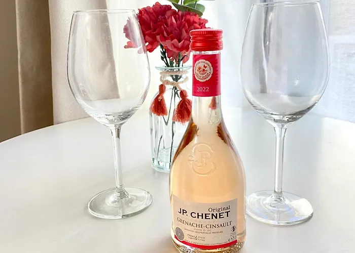 Duplex Cosy - Hyper Centre - Proche Et Promenade דירה ניס