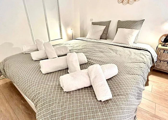 Duplex Cosy - Hyper Centre - Proche Et Promenade דירה *