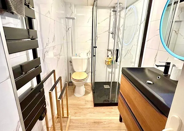 Duplex Cosy - Hyper Centre - Proche Et Promenade דירה