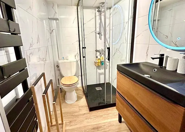 דירה Duplex Cosy - Hyper Centre - Proche Et Promenade *