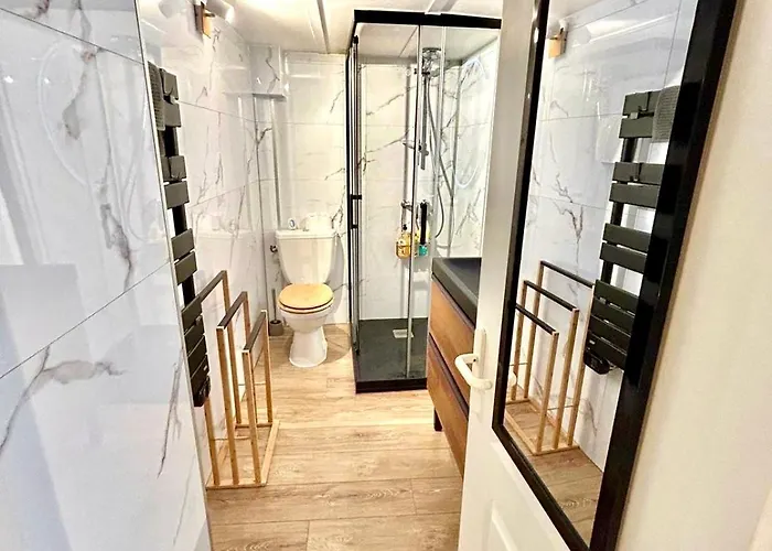 Duplex Cosy - Hyper Centre - Proche Et Promenade דירה *